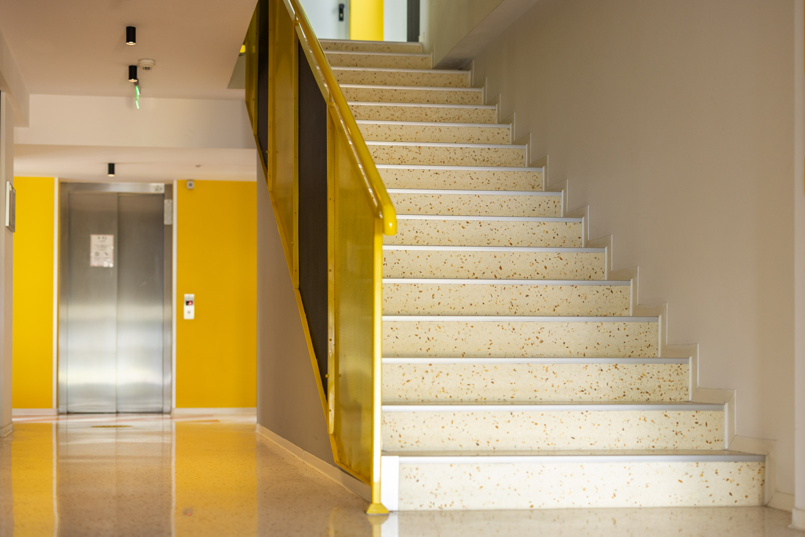 terrazzo stairs and flooring design